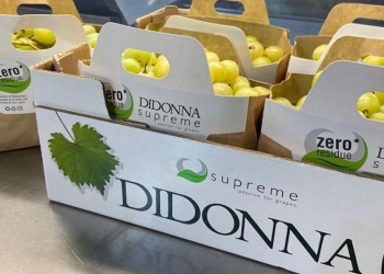 Nuova busta in carta con manico personalizzato!